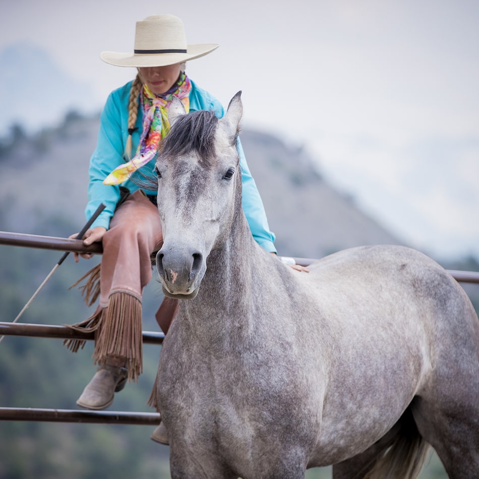 Django Case Study Mustang Maddy