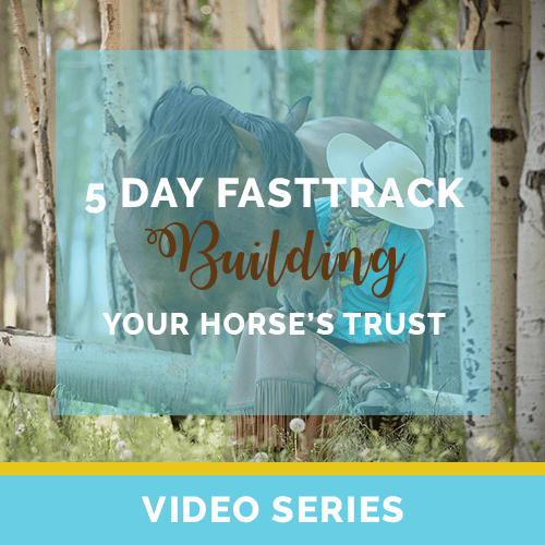 5 Day FastTrack